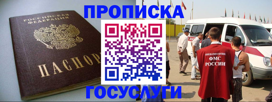 временная регистрация госуслуги в Никольском